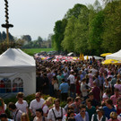 Maibaumaufstellen Aigen II