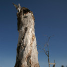 DSC00749 _Custom_.JPG