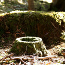 DSC00766 _Custom_.JPG