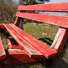 DSC00791 _Custom_.JPG