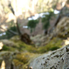DSC00797 _Custom_.JPG