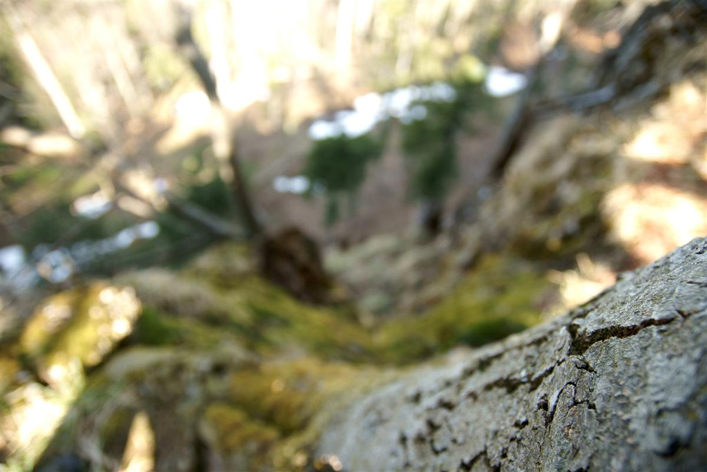 DSC00797 _Custom_.JPG