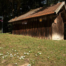 DSC00800 _Custom_.JPG