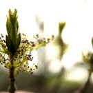 DSC00917 _Large_.JPG