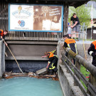 01052013tierde01001aktivnews_09.JPG