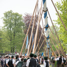 01052013maibaumaufstellenbadaiblingtkaktivnews-65.jpg