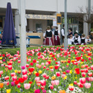 01052013maibaumaufstellenbadaiblingtkaktivnews-3.jpg