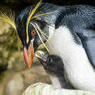 ABD0031-20130429.jpg