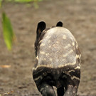 ABD0018-20130428.jpg
