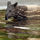 ABD0017-20130428.jpg