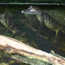 ABD0016-20130428.jpg