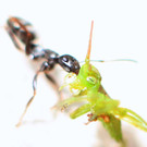 ABD0002-20130427.jpg