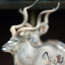 ABD0114-20130426.jpg