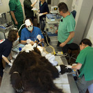 ABD0118-20130426.jpg