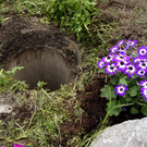 DSC06611.JPG