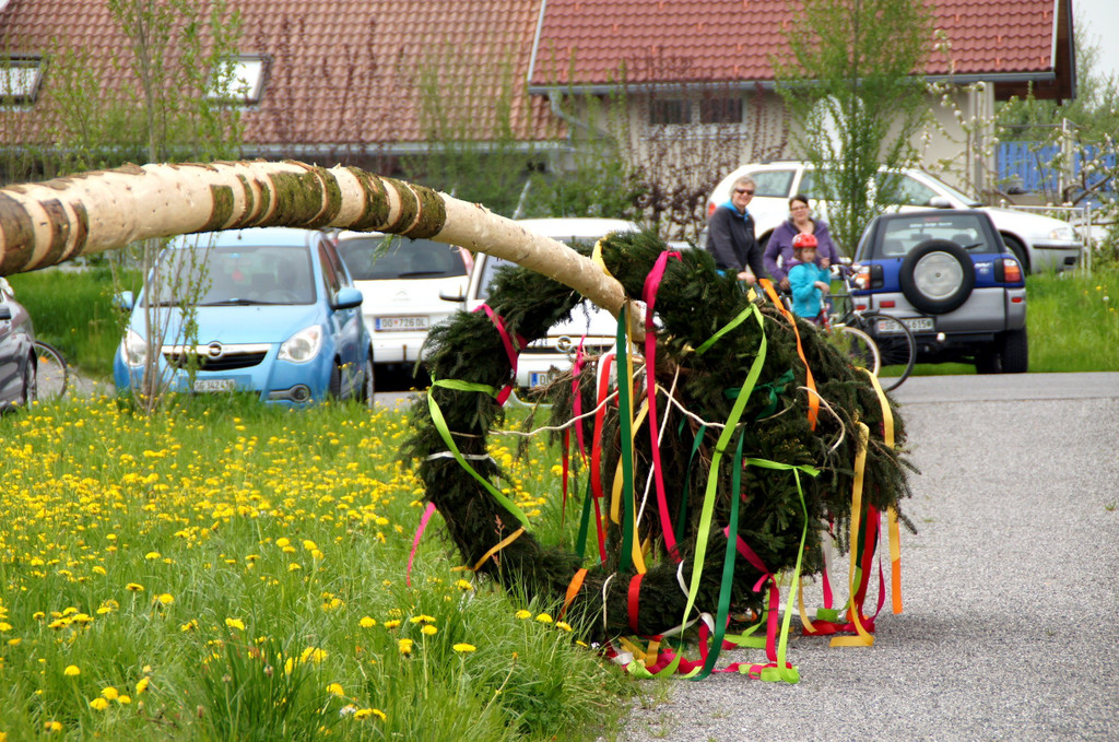 DSC06612.JPG