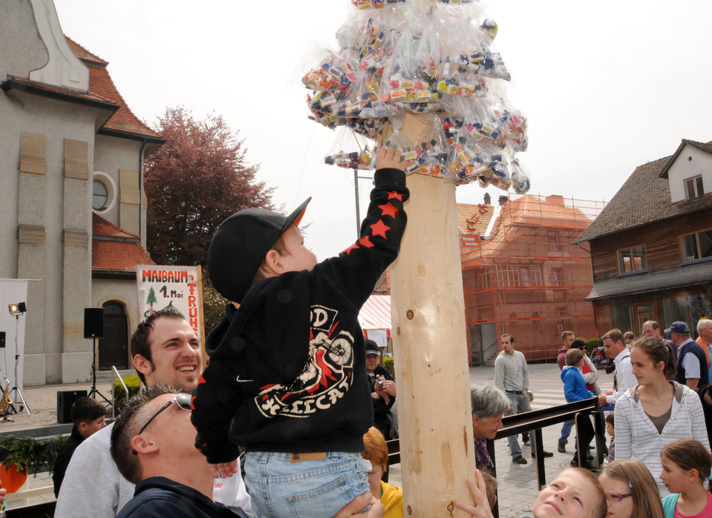 Maibaum H__chst 2013 67_jpg-1367502589