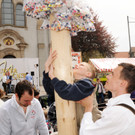 Maibaum H__chst 2013 68_jpg-1367502600