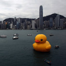 2013-05-02T044626Z_01_HKG01_RTRIDSP_3_HONGKONG.jpg