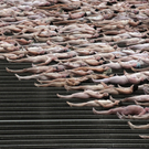 "Nackte" Installation vor Opernhaus in Sydney