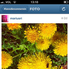 Instagram_mariusri_2.jpg