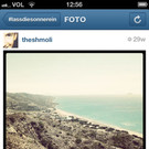 Instagram_theshmoli_8.jpg