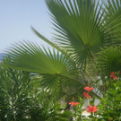 Beyer_G__nther_2.JPG