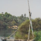 Lins_Bettina_7.jpg