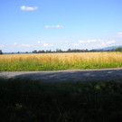 Tauschmann_Diana_1.jpg
