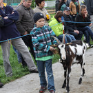 Ziegenaustst_ 2013 047_JPG-1367583837