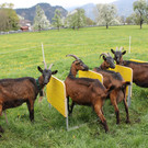 Warten auf den Rundgang_JPG-1367584841
