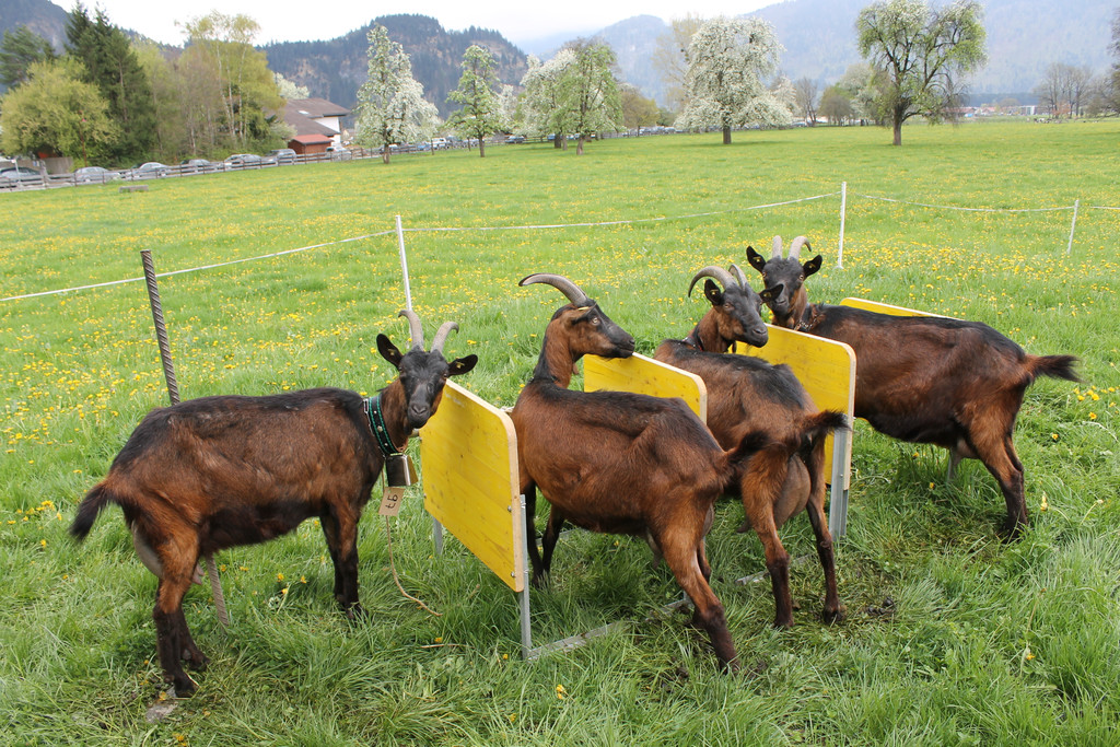 Warten auf den Rundgang_JPG-1367584841