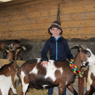 Ziegenaustst_ 2013 003_JPG-1367585033