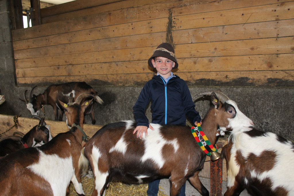 Ziegenaustst_ 2013 003_JPG-1367585033