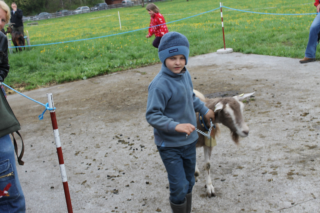Ziegenaustst_ 2013 017_JPG-1367585701