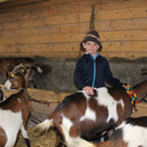 Ziegenaustst_ 2013 005_JPG-1367585764