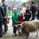 Ziegenaustst_ 2013 011_JPG-1367585831