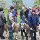 Ziegenaustst_ 2013 015_JPG-1367585887