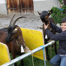 Ziegenaustst_ 2013 033_JPG-1367586120
