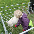 Ziegenaustst_ 2013 059_JPG-1367586561