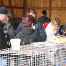 IMG_3872_jpg-1367588951