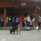 Weitere Bilder