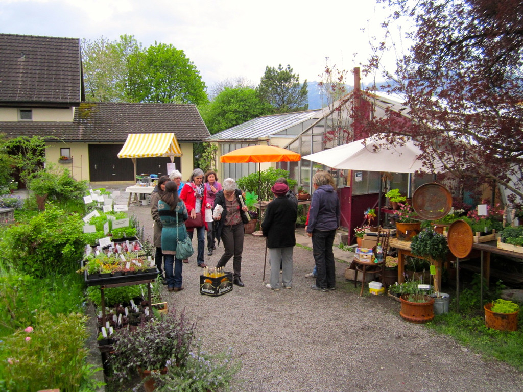 BK_Bluetenzauber_Fruehlingsausstellung_Nofels_jpg-1367610978
