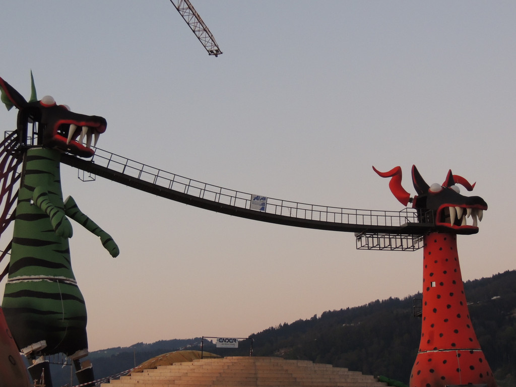 DSCN6055_JPG-1367624056