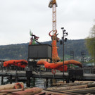 DSCN6326_JPG-1367624060