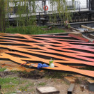 DSCN7147_JPG-1367624105