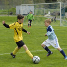 202 Kopie_jpg-1367653708