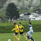 296 Kopie_jpg-1367654470