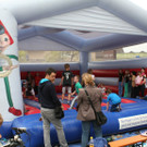 Maibaumfest