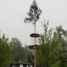 IMG_7949_JPG-1367665454